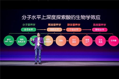 探索网络营销培训班，开启成功营销之旅