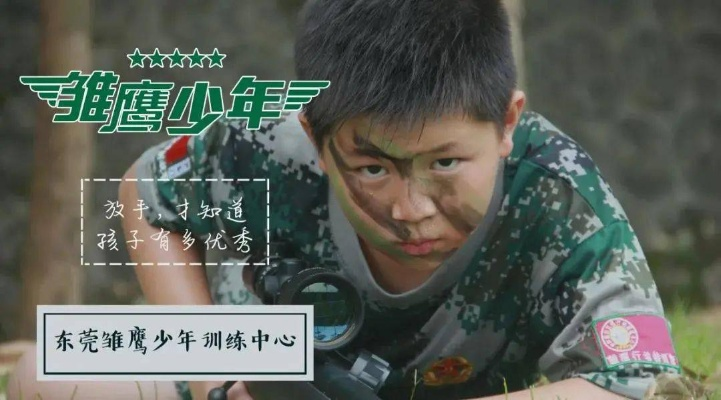 在中国少年雏鹰网中快乐翱翔