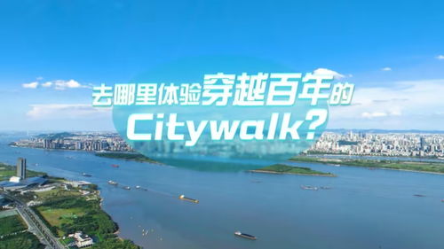浙江七匹马的上海 Citywalk，地域跨越的奇妙冒险之旅