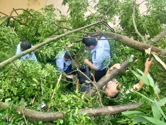 贵州购房遭遇飞来横祸，三名女子一死两伤悲剧揭示避暑风险