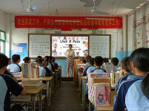 深圳教育信息网，深圳教育的智慧中枢与发展引擎