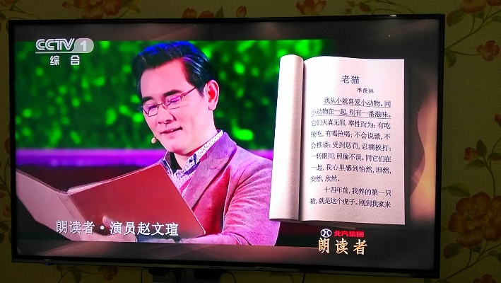 电视散文，诗意流淌的视觉与听觉盛宴