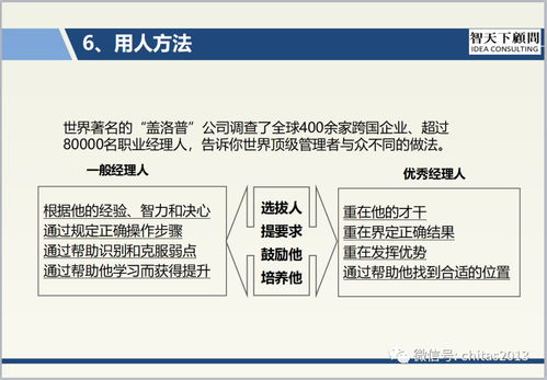 管理培训，领导力与团队效能提升的关键之途