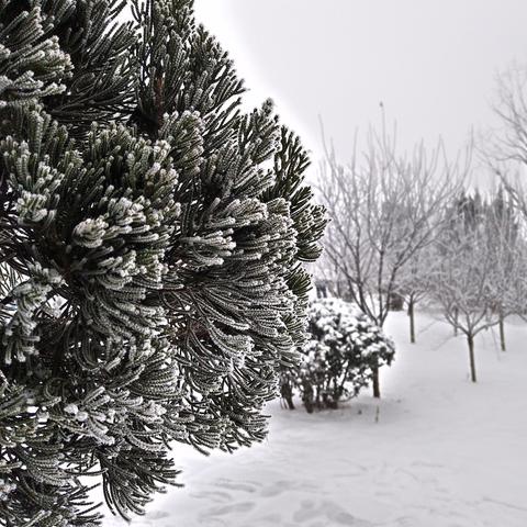 南方的雪景之巅，天降瑞雪大观