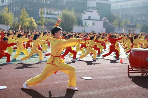 探寻学武术学校，传承与成长的摇篮