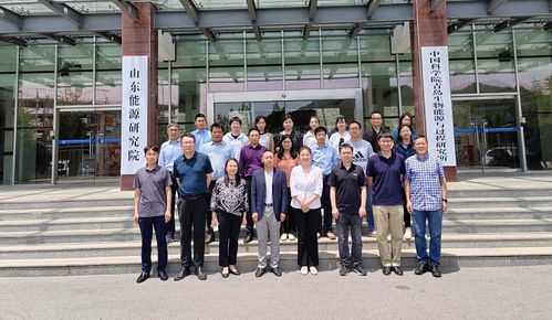 全球重大新闻动态概览