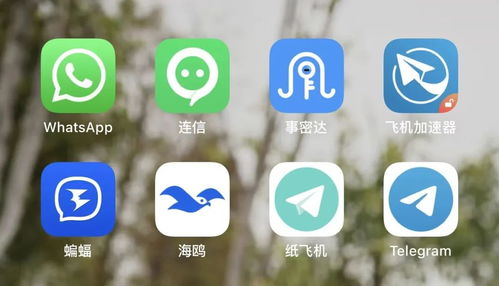 成人聊天软件，探索与警示