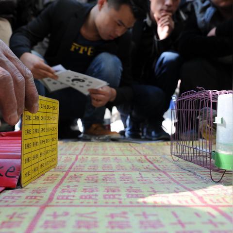 算命团伙行骗七人被抓