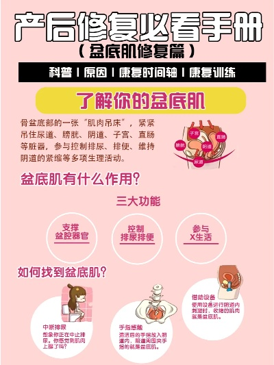 产后修复学习全面指南