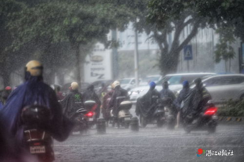 暴雨突袭下的爱与温暖同行