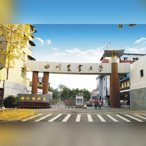 四川农业大学工学院，卓越工程人才的培育基地