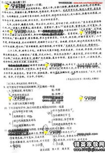 山东 2016 高考状元，学霸闪耀之路与启示
