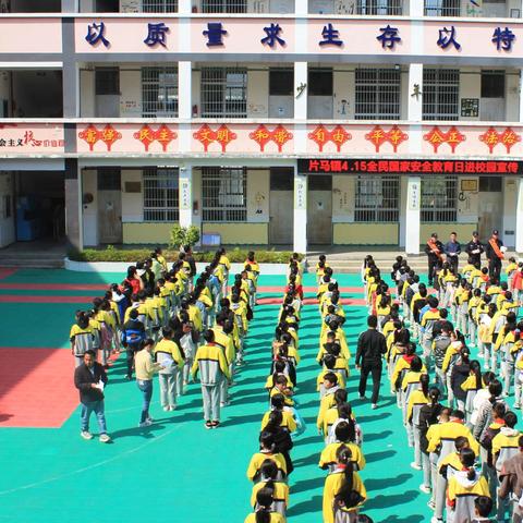 北京师范大学强基计划，夯实基础学科人才基石