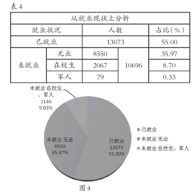 农村就业现状与前景展望