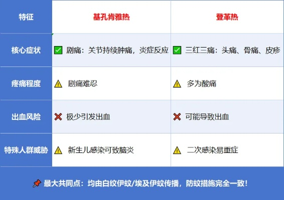 这些症状或许是基孔肯雅热警报，你一定要警觉!