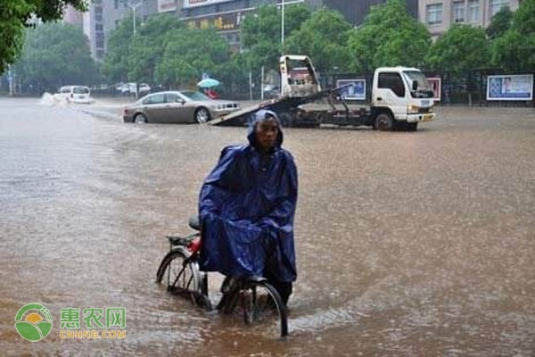 暴雨、高温等五预警齐发，这些地区需警惕！