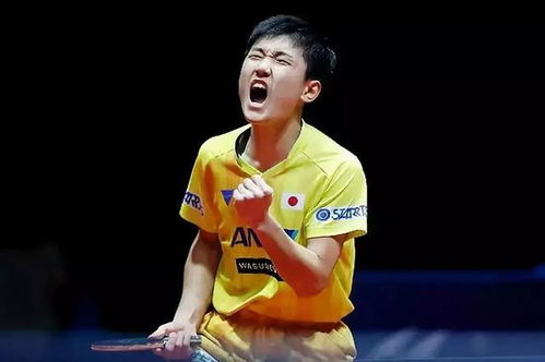 张本智和错失欧洲大满贯八强席位