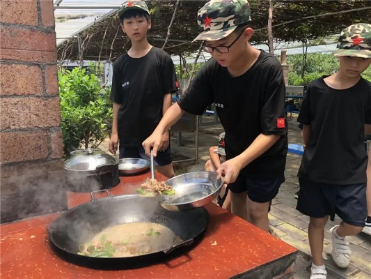 训练营学校，未来的塑造摇篮