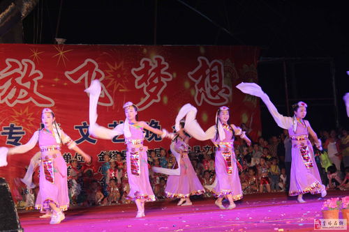 舞动梦想，舞蹈培训开启精彩之旅
