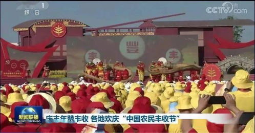 中央新闻网最新动态报道速递