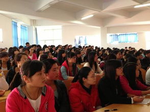 计算机学校与培训学校，塑造数字时代技能精英的摇篮