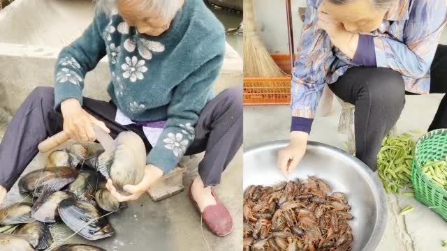 92岁外婆携手83岁奶奶共探河蚌奇趣