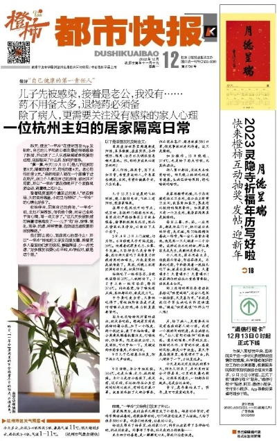 都市报道官网，最新动态与深度解读