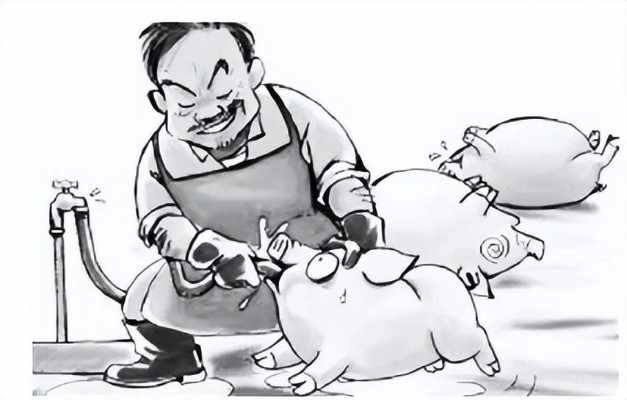 触目惊心！商贩给生猪灌泥浆的黑暗内幕
