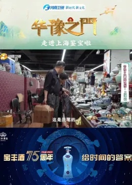 河南卫视鉴宝，开启历史珍宝神秘探寻之旅