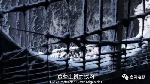 莫让卖肾车间的黑暗罪恶侵蚀社会