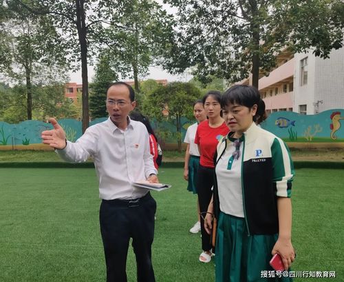 校园启示录，青春岁月的成长与领悟之旅