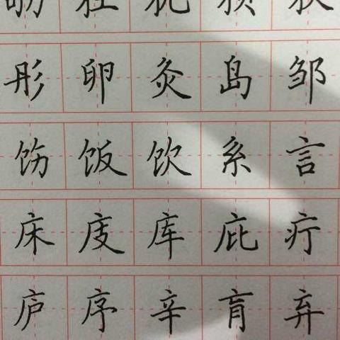 男孩硬笔字迹工整如画，字迹如印刷体一般清晰。
