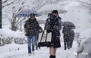 河南暴雪，自然考验与人性温暖交织