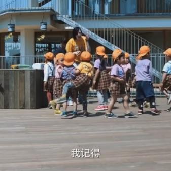 体育馆坍塌事故原因深度剖析与安全警示反思