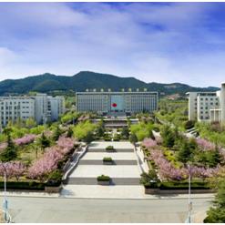 空乘学校，塑造未来空中精英的摇篮