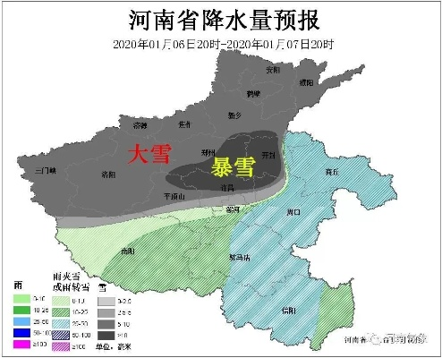 河南暴雪灾害应对与影响