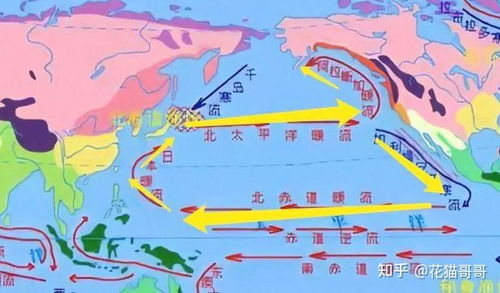 核污水之困，日处理新路径与希望的探索