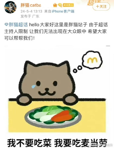 胖猫跳江事发地鲜花与汉堡悼念