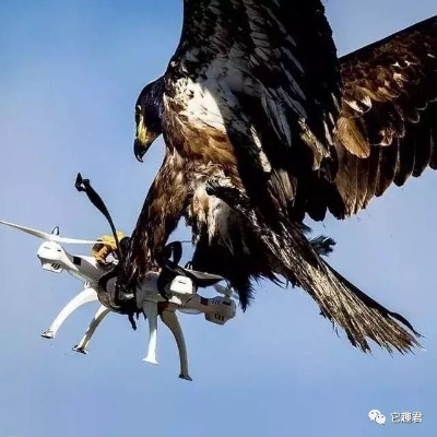 惊心动魄的九头鹰千万绑架案