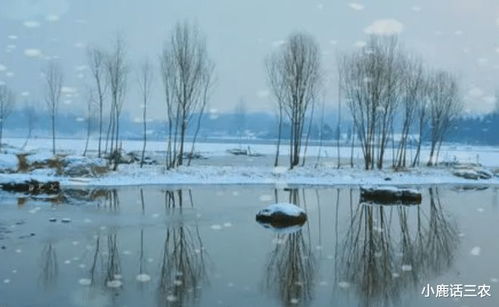 南方雨雪，自然壮丽与挑战的交织
