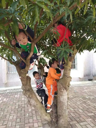 丫丫爬树嬉戏，灵动一幕呈现