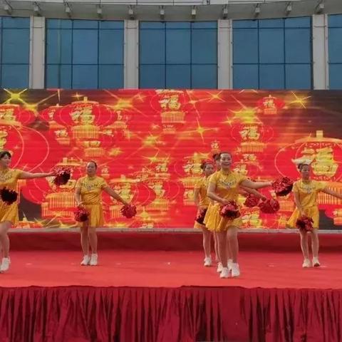 舞动人生，舞蹈家杨杨的非凡征程