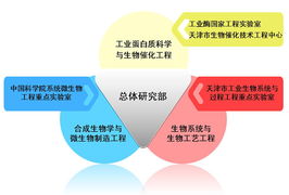 探索未知，最新科研成果的震撼启示
