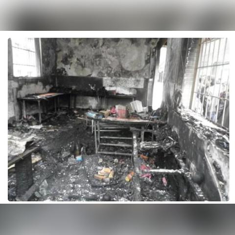 湖南养猪场爆炸悲剧及 10 人获刑的警示与思考