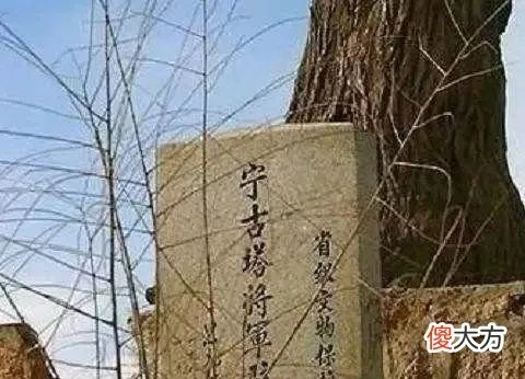 2025年8月25日