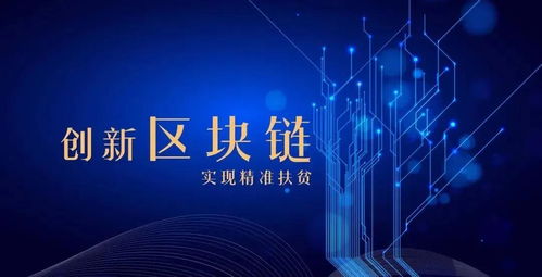 国内新闻聚焦，洞察时代发展脉搏