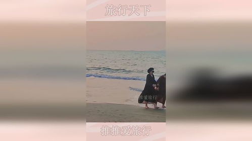 2025年8月25日 第4页