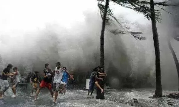 20 号台风，大自然的咆哮及人类的应对之策