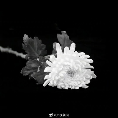 沉痛悼念黄菊同志逝世