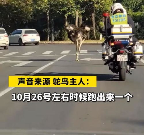草药味儿の岁月 第7页